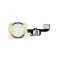 Καλώδιο Flex Home button και fingerprint για iPhone 6 plus, Gold