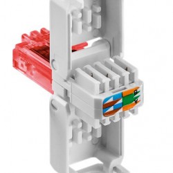 GOOBAY βύσμα RJ45 CAT 6 UTP 44738, tool-free, λευκό