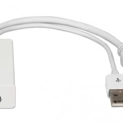 POWERTECH αντάπτορας HDMI σε DisplayPort CAB-H162, USB, 4K, λευκός