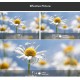 APEXEL 100mm macro φακός APL-HB100MM για smartphone κάμερα