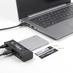 DELOCK docking station για M.2 NVMe/SATA ή 2.5"/3.5" SSD/HDD 64252, 10Gbps, clone function, μαύρο