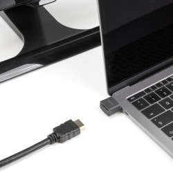 DELOCK αντάπτορας USB-C σε HDMI 64256, 4K/30Hz, μαύρος