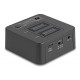 DELOCK docking station για M.2 NVMe SSD 64300, 2 θέσεων, 20Gbps, clone/erase function, μαύρο