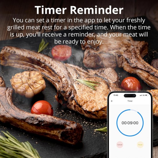 SONOFF smart θερμόμετρο barbeque BMT01 με 2x αισθητήρες, έως 300 °C, μαύρο
