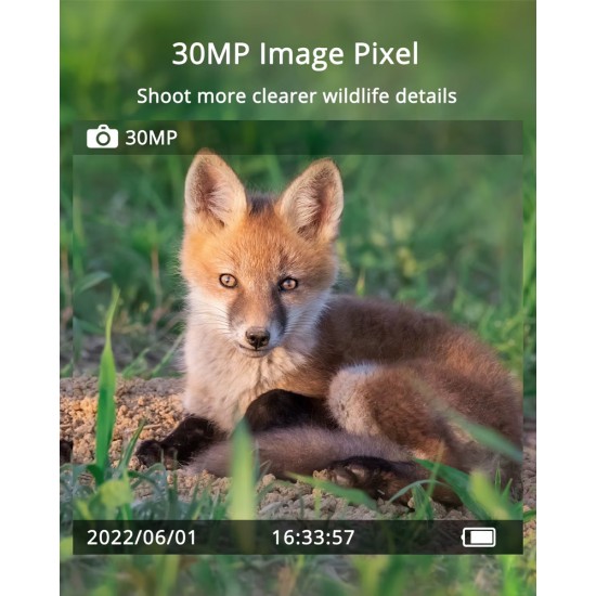 SUNTEK smart ηλιακή κάμερα κυνηγού Mini 900 Pro, PIR, 4G, 30MP/2K, SD, IP65