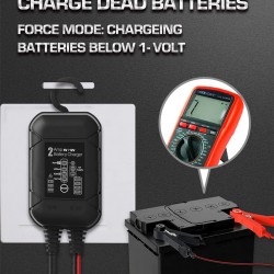 BYGD φορτιστής & συντηρητής μπαταρίας αυτοκινήτου S2000, 6-12V/2A