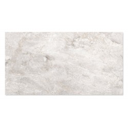 WINGRESS πλακάκι WNC-BRACIA-SILVER-GREY, 120x60cm, glossy finish, bracia silver grey, 2τμχ 1.44m²