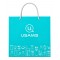 USAMS τσάντα CT-BAG, 32x29.5cm, γαλάζια