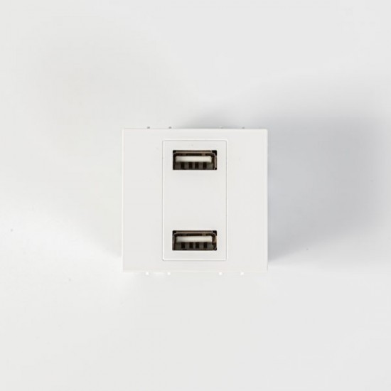 ΠΡΙΖΑ 2 Χ USB MODULES ΛΕΥΚΗ