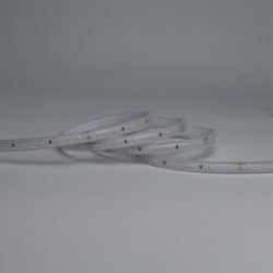 ΤΑΙΝΙΑ LED 5M 10W 12V 6500K 60LED/M IP65 PRO