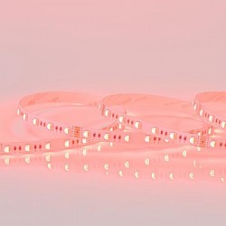 ΤΑΙΝΙΑ LED 5M 16W 24V RGBW 6500K IP20 PRO