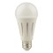 ΛΑΜΠΑ LED ΚΟΙΝΗ 24W 2800lm Ε27 2700K 175-250V