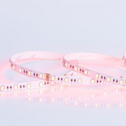 ΤΑΙΝΙΑ LED 5M 16W 24V RGBWW 3000K IP20 PRO