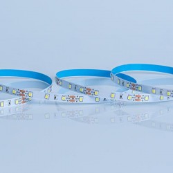 ΤΑΙΝΙΑ LED 5Μ 4,8W 12V 6500K IP20 60L/M VALUE